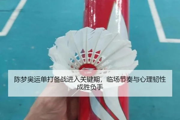 陈梦奥运单打备战进入关键期，临场节奏与心理韧性成胜负手